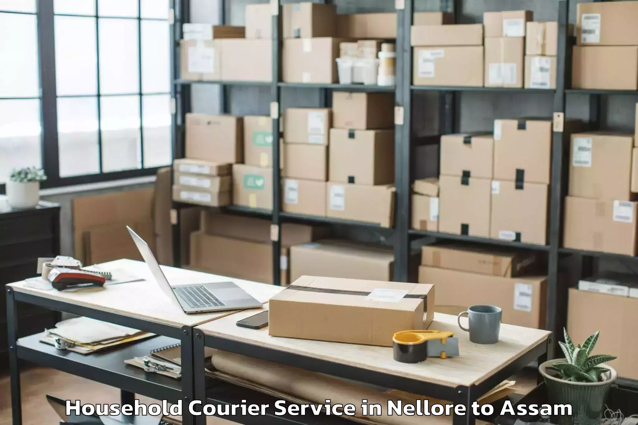 Nellore to Guwahati Household Courier